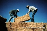 Straw bale, a natural building technique by Michael G. Smith